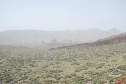 Tenerife Stock Photos