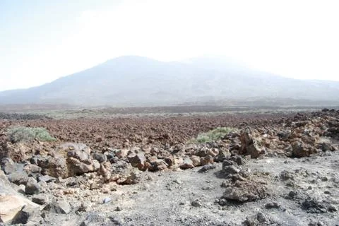 Tenerife Stock Photos