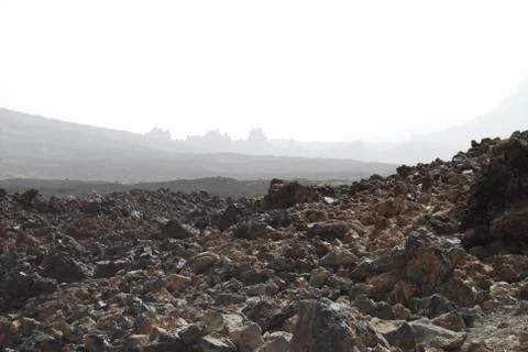 Tenerife Stock Photos