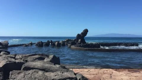 Tenerife Stock Photos