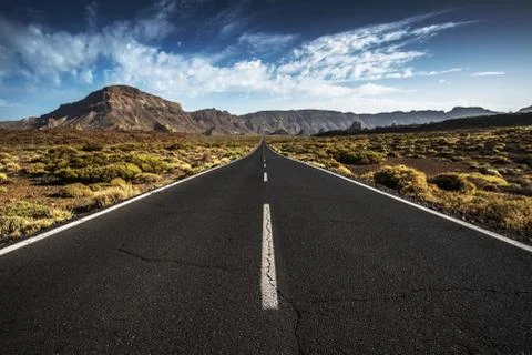 Tenerife Stock Photos