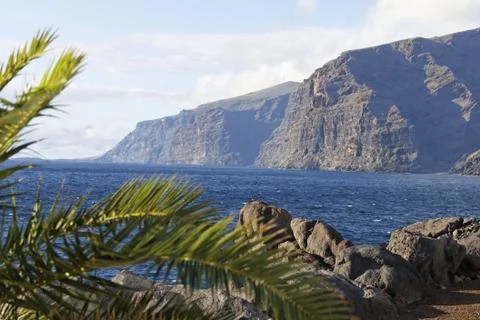 Teneriffa 2010 Stock Photos