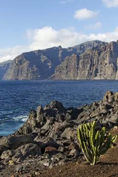 Teneriffa 2010 写真素材