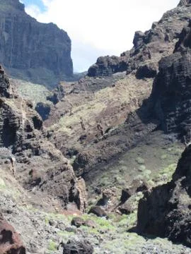 Teneriffa Stock Photos