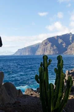 Teneriffa Stock Photos