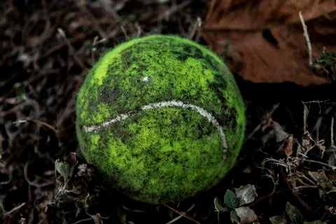TENIS BALL Foto stock
