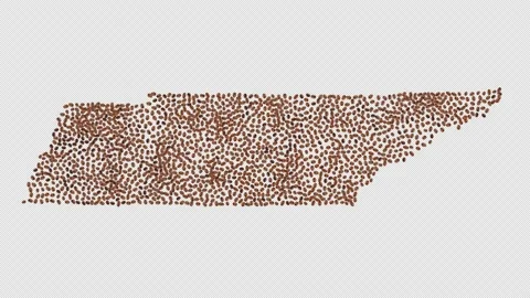 Tennessee Coffee Beans Stock Footage 148010134