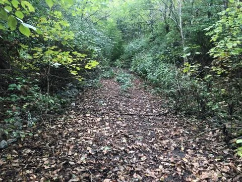 Tennessee Fall Foto stock