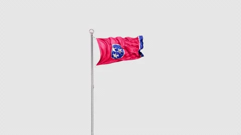 Tennessee   Flag Pole  Animation Include Alpha 3D Rendering Stock-Footage 312108904
