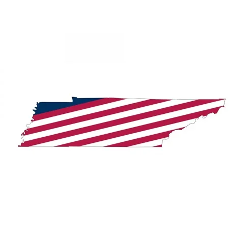 Tennessee outline map animation with flag colors Stock Footage 307510885