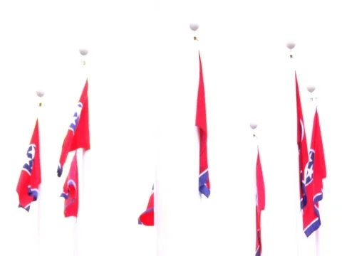 TENNESSEE STATE FLAGS FLYING IN WIND WIDE Stock Footage 499117