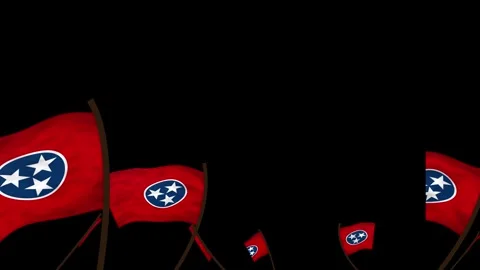 Tennessee State Flags Waving Crowd. Realistic 4K 60fps Seamless Loop Stock Footage 338406110