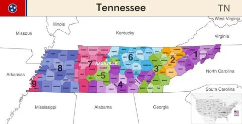 Tennessee state map with counties borders and congressional districts Stock Illustration