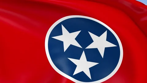 Tennessee State Waving Flag Background Loop Stock Footage 317847114