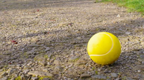 Tennis ball on the road Stock Footage 65318719