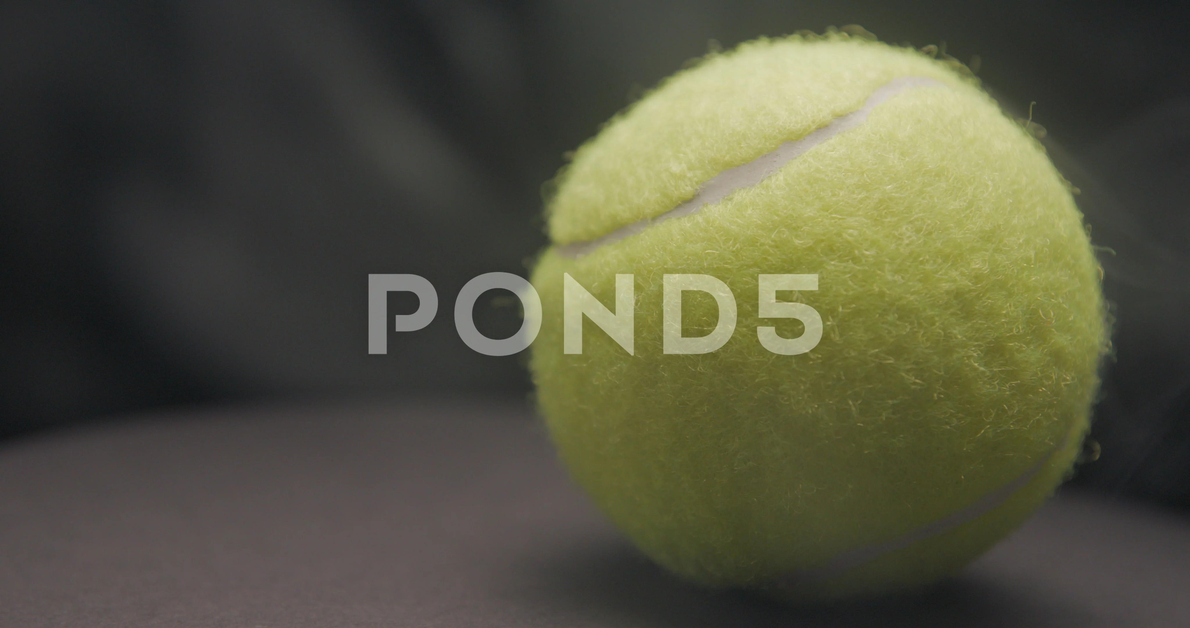 LV Tennis Ball – Rapiditas studio