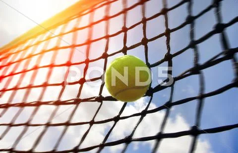 Tennis Ball On A Tennis Court