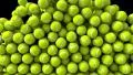 Tennis balls fill screen transition composite overlay HD Footage