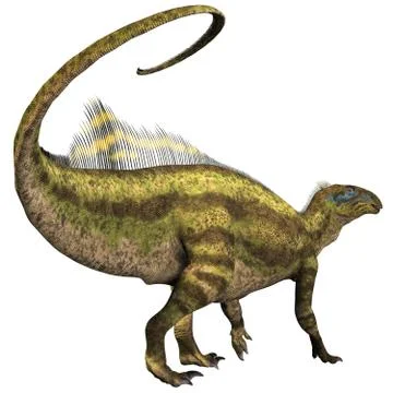 Tenontosaurus profile Stock Illustration