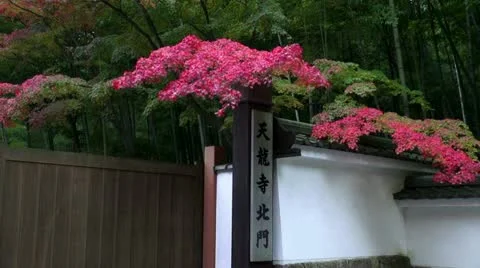 Tenryuji North Gate Video stock 20538992