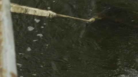 The tension ship anchor Vidéo 55014656