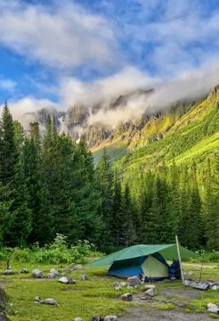 Tent backpackers installed on edge of dark forest Stock Photos