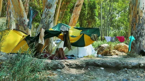 Tent on the beach in a eucalyptus grove Stock Footage 55809134