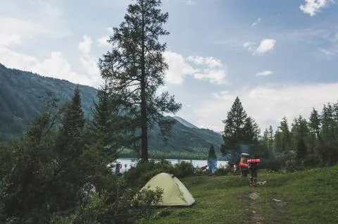 Tent between two trees in the foothills on glade Stock Photos