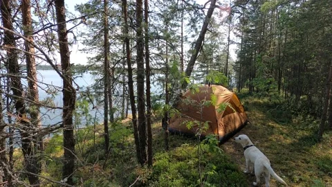Tent camp in the forest by the lake Stock Footage 157144473