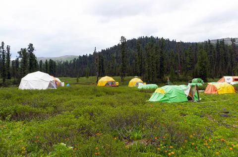 Tent camp in the mountain taiga forest. Ergaki National Park, Siberia, Russia Stock Photos