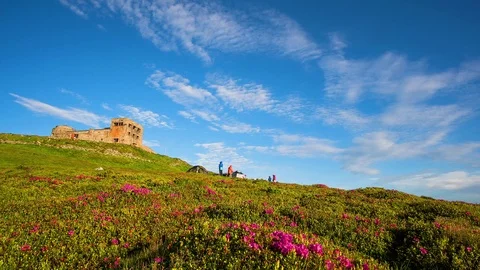 Tent camp time lapse Stock Footage 113288282
