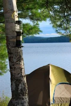 Tent camping Stock Photos