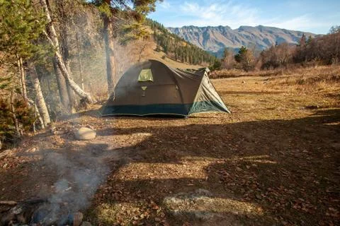 Tent Camping Under a Pine Tree in the Mountains, First Morning Light Stock Photos