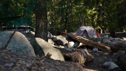 Tent camping in the woods Vidéo 78215275