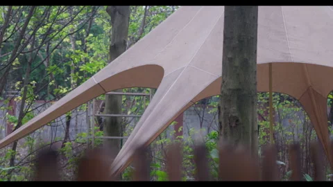Tent Canopy in Tree-Lined Area for Mindfulness Background Use 스톡 동영상 328232351