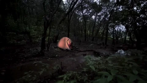 Tent in the forest, A Boy camping in forest and eating food in night, Stock Footage 285928023