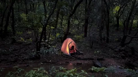 Tent in the forest, A Boy camping in forest and eating food in night, Stock Footage 285930244