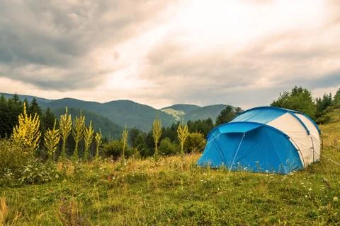 Tent in forest meadow. Stock Photos