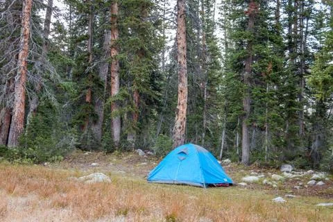 Tent in Forest Foto stock