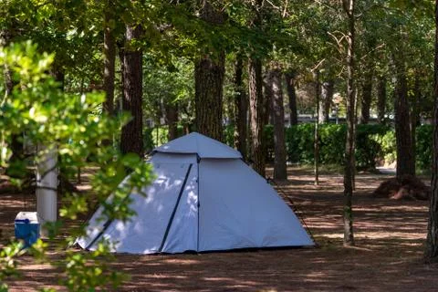 Tent in the forest Foto stock