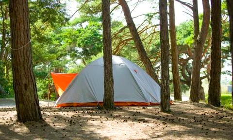 Tent in forest.jh Stock Photos