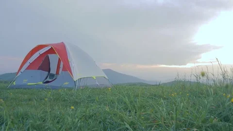 Tent Grass Stock Footage 76030028