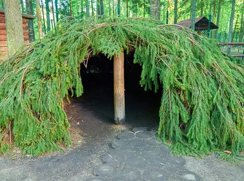A tent made of spruce branches in close-up. Stock Photos