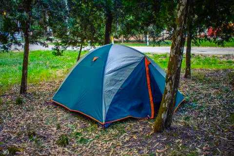 Tent mounted in the middle of the trees. Stock Photos
