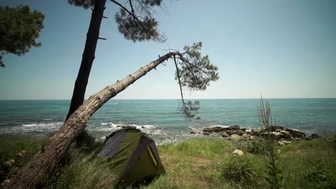 Tent in the pine forest by the sea/ocean Video stock 168687824