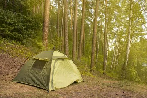 Tent in a pine tree forest Stock Photos
