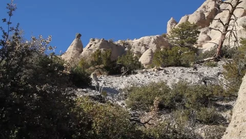 Tent Rock 1192 Video stock 1032139