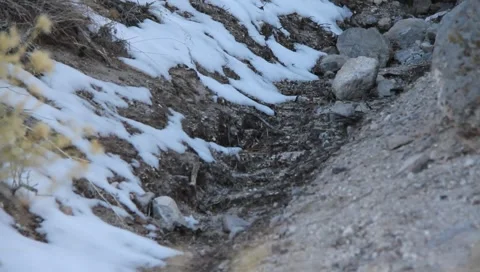 Tent Rock 1232 Stock Footage 1031597