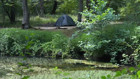 Tent Set Up by the Lake Video stock 313284870