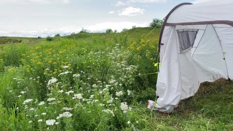 The tent is set up in the middle of a blooming field Stock Footage 259706134